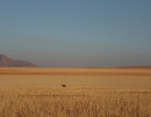 <a href= 'https://www.reves-afrique.ch/safari-namibie' target='_blank' class='white'>Namibie</a>, juin 2021