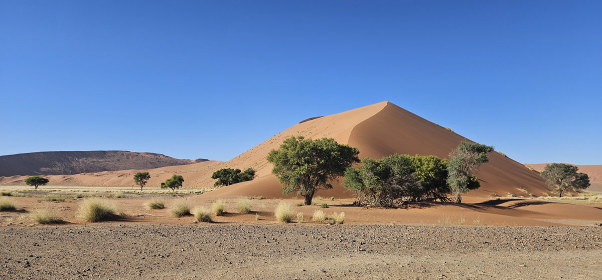 Safari en Namibie, septembre 2026