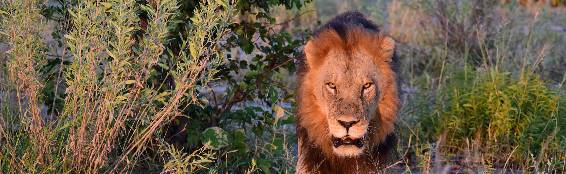 BOTSWANA