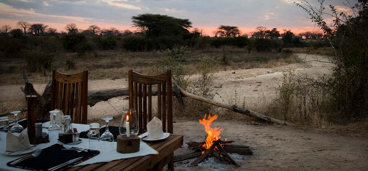 Parcs du sud de la Tanzanie & Pemba, août 2026
