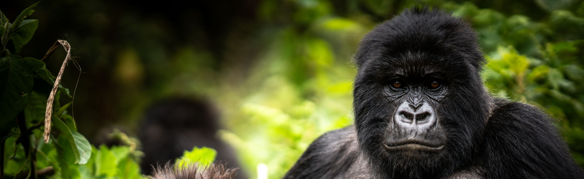 RWANDA