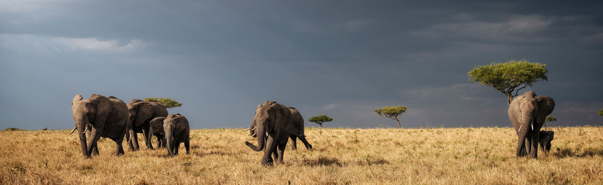 TANZANIE