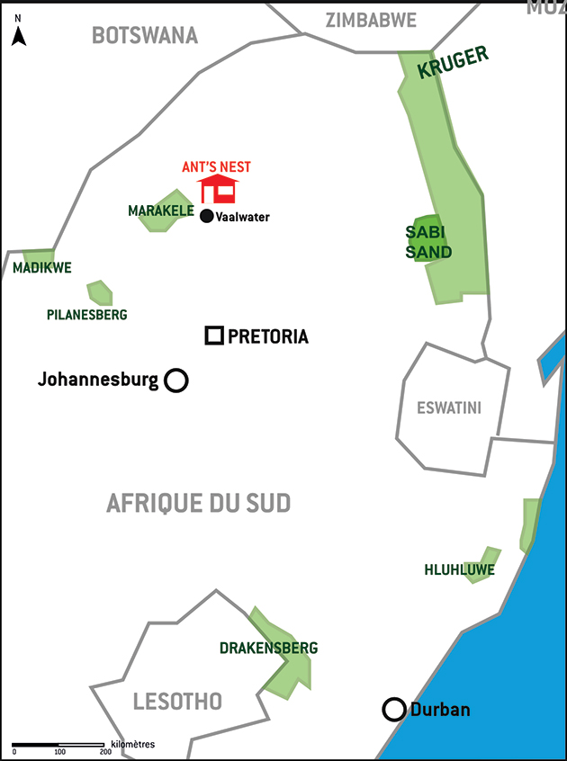 Carte de Ant's