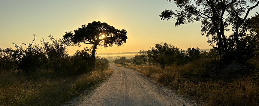 Piste au Kruger