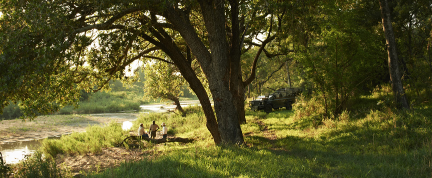 Safari en 4x4 dans le Sabi Sand
