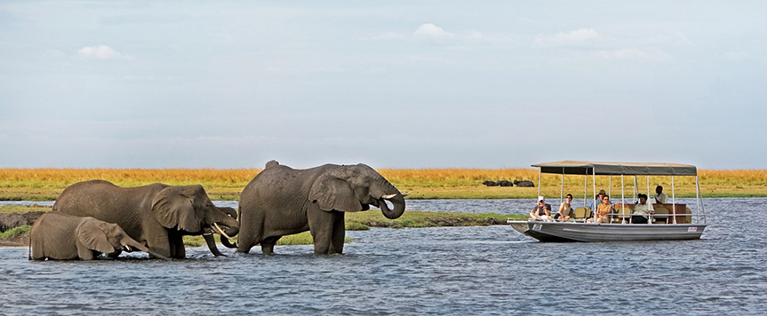 Croisière sur Chobe