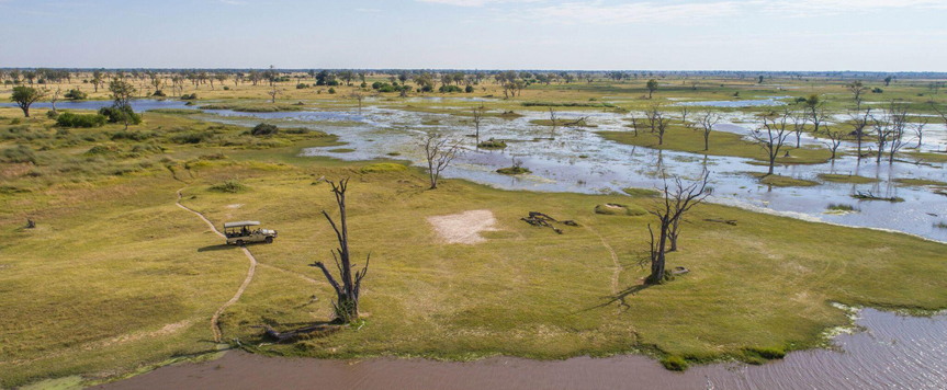 Safari à Morémi