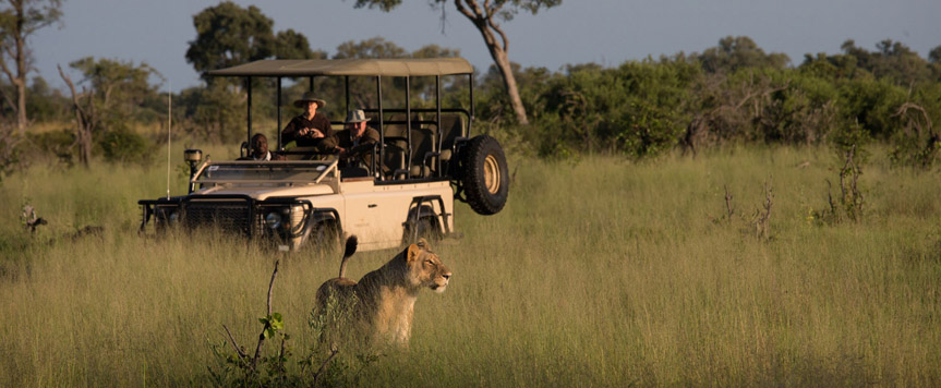 Safari en 4x4 à Shinde