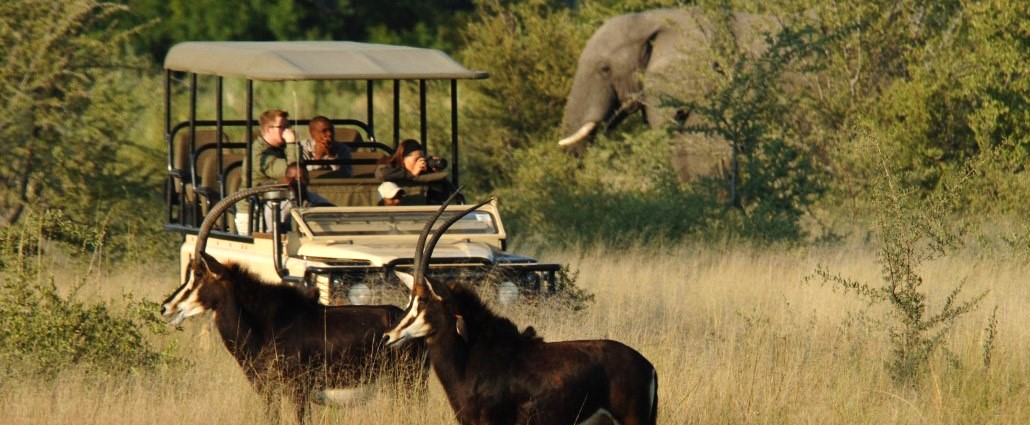 Vumbura Plains Game Drive