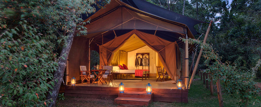 Elephant Pepper Camp