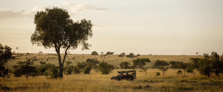 Safari à Mara North