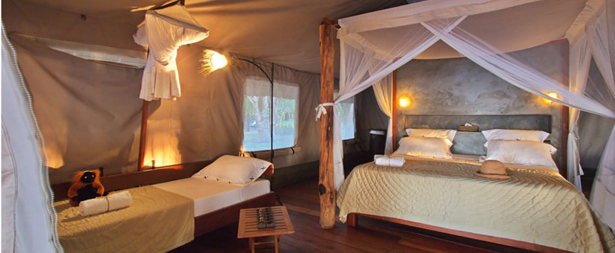 Chambre au Eden Lodge