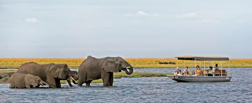 Parc national de Chobe