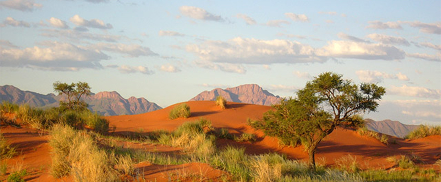 Les dunes du Namib Rand