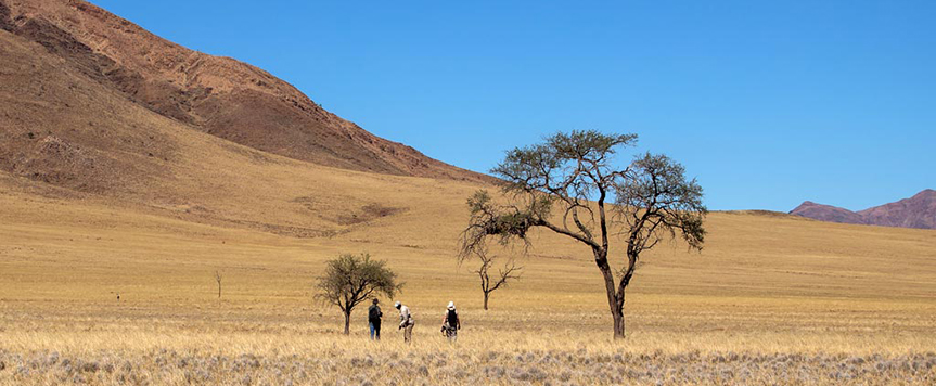 Namib Rand
