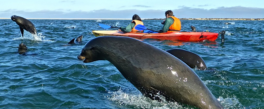 Kayak sur la lagune de Walwis Bay