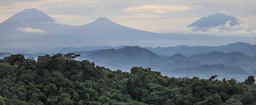 Votre bungalow à Bwindi