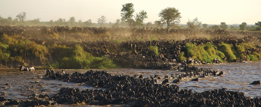 Traversée de la rivière Mara