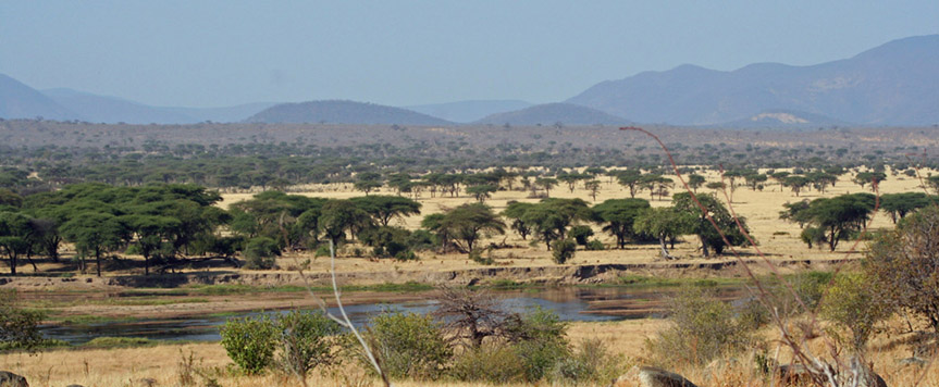 Parc national de Ruaha