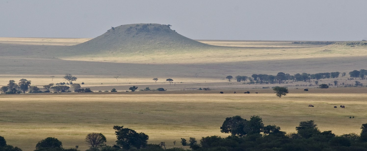 Serengeti Nord