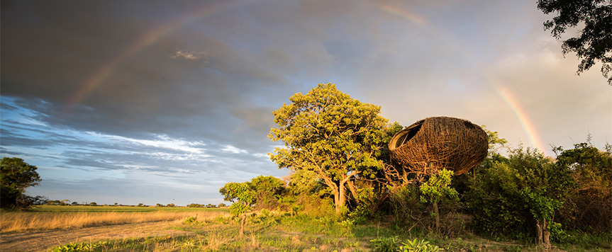 Chisa Busanga Camp