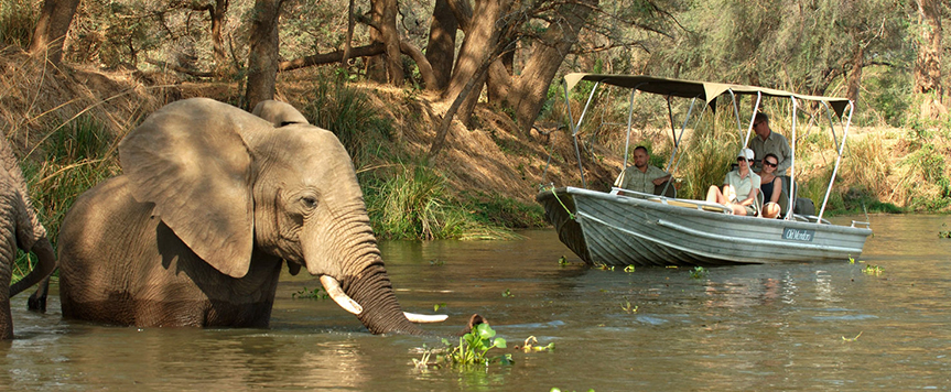 Safari en bateau sur le Zambèze