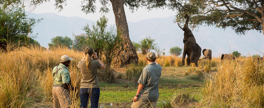 Parc de Mana Pools