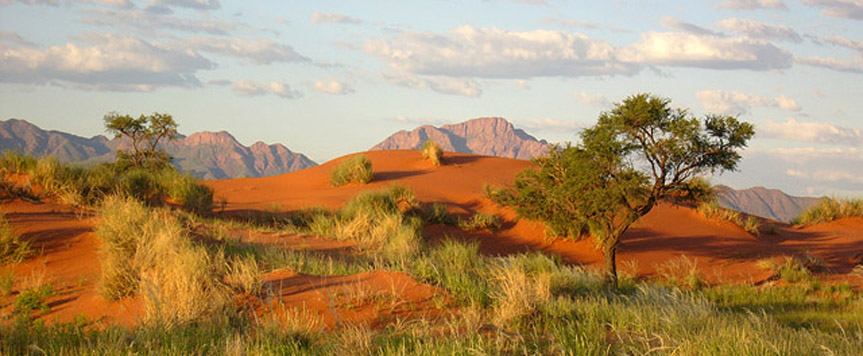 Paysage du Namib Rand