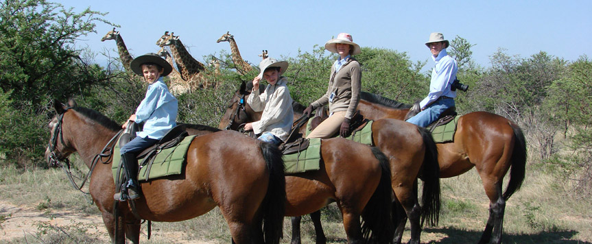 Safari a cheval Ant's