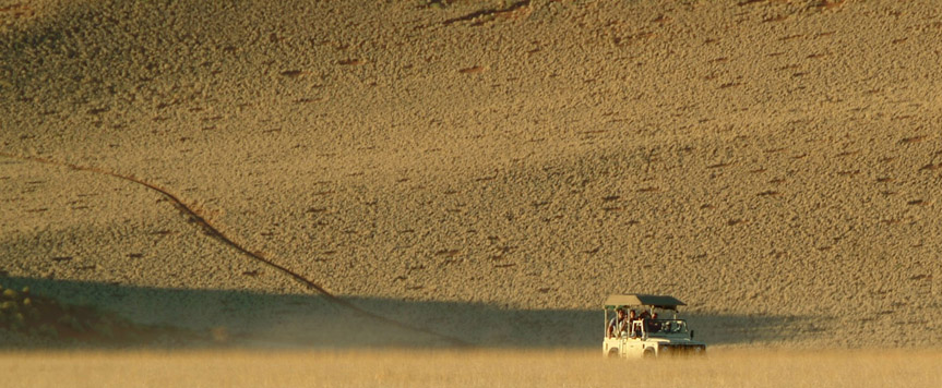 Safari à Wolwedans