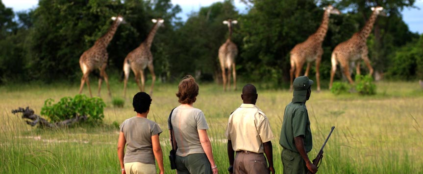 Safari à pied South Luangwa